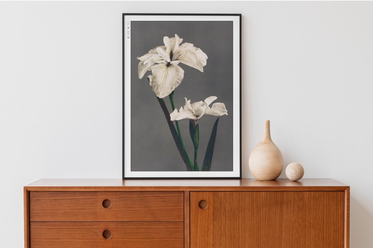 Ogawa Kazumasa - Japanese Irises - Art Only - Black Frame