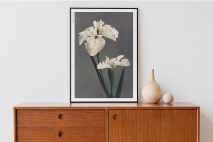 Ogawa Kazumasa - Japanese Irises - Art Only - Black Frame