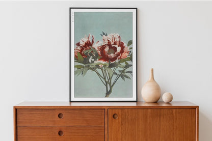 Ogawa Kazumasa - Tree Peony - Art Only - Black Frame