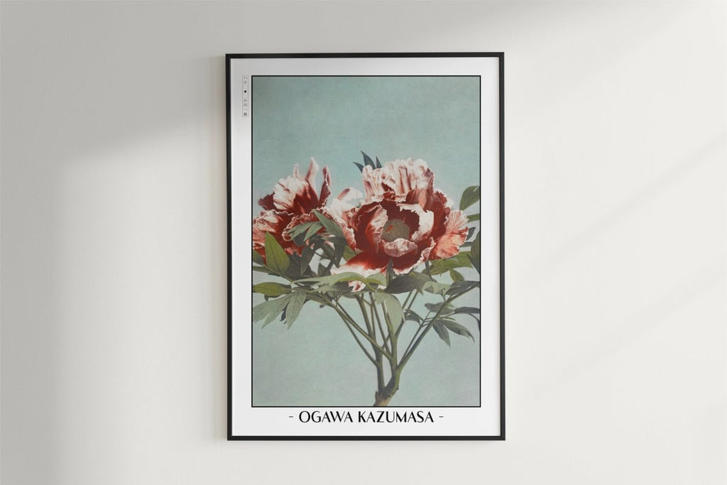 Ogawa Kazumasa - Tree Peony - Artist Name - White Frame