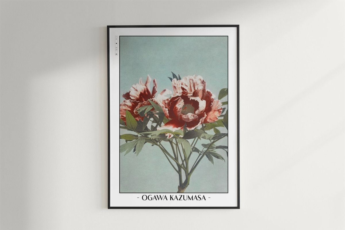 Ogawa Kazumasa - Tree Peony - Artist Name - White Frame