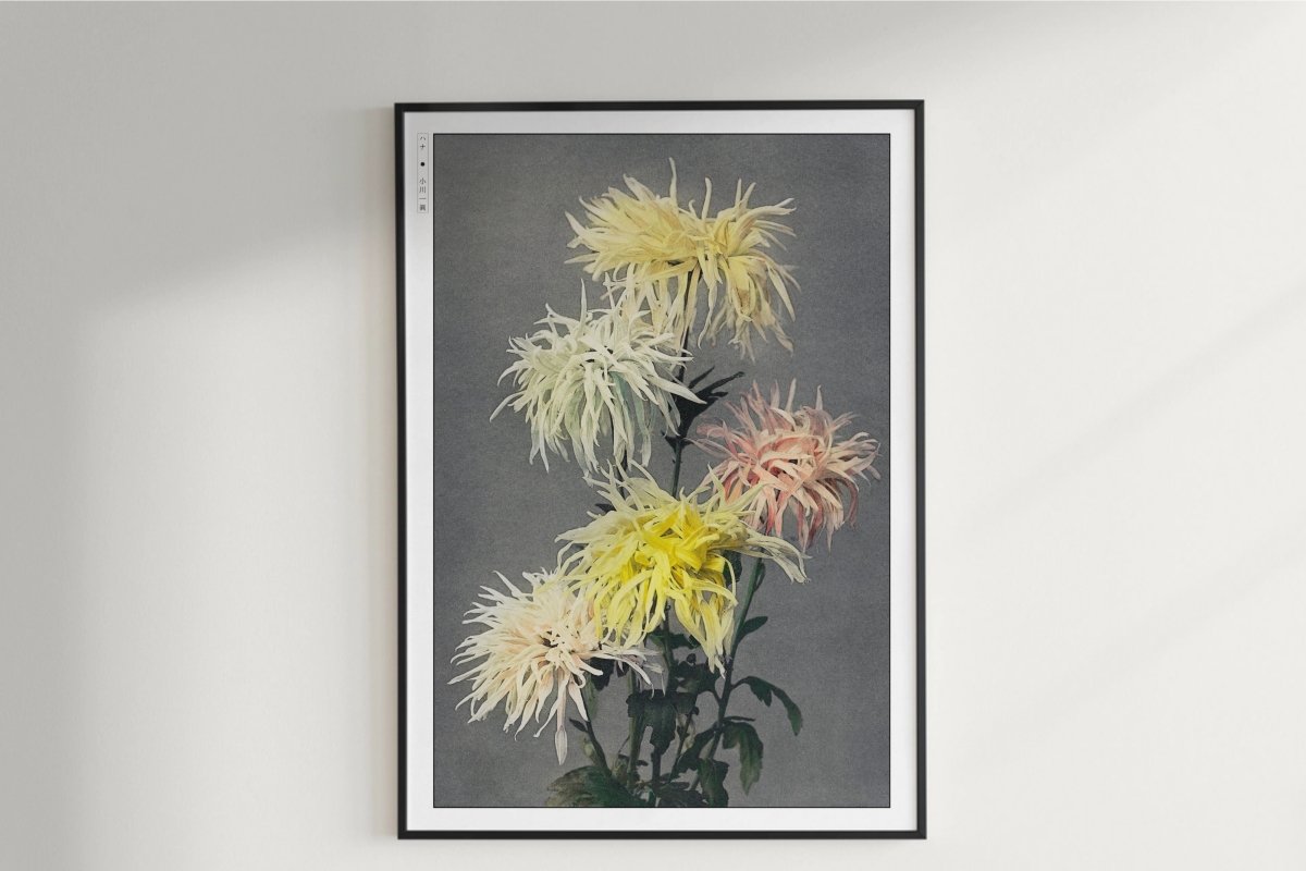 Ogawa Kazumasa - Yellow Chrysanthemums - Art Only with Decor