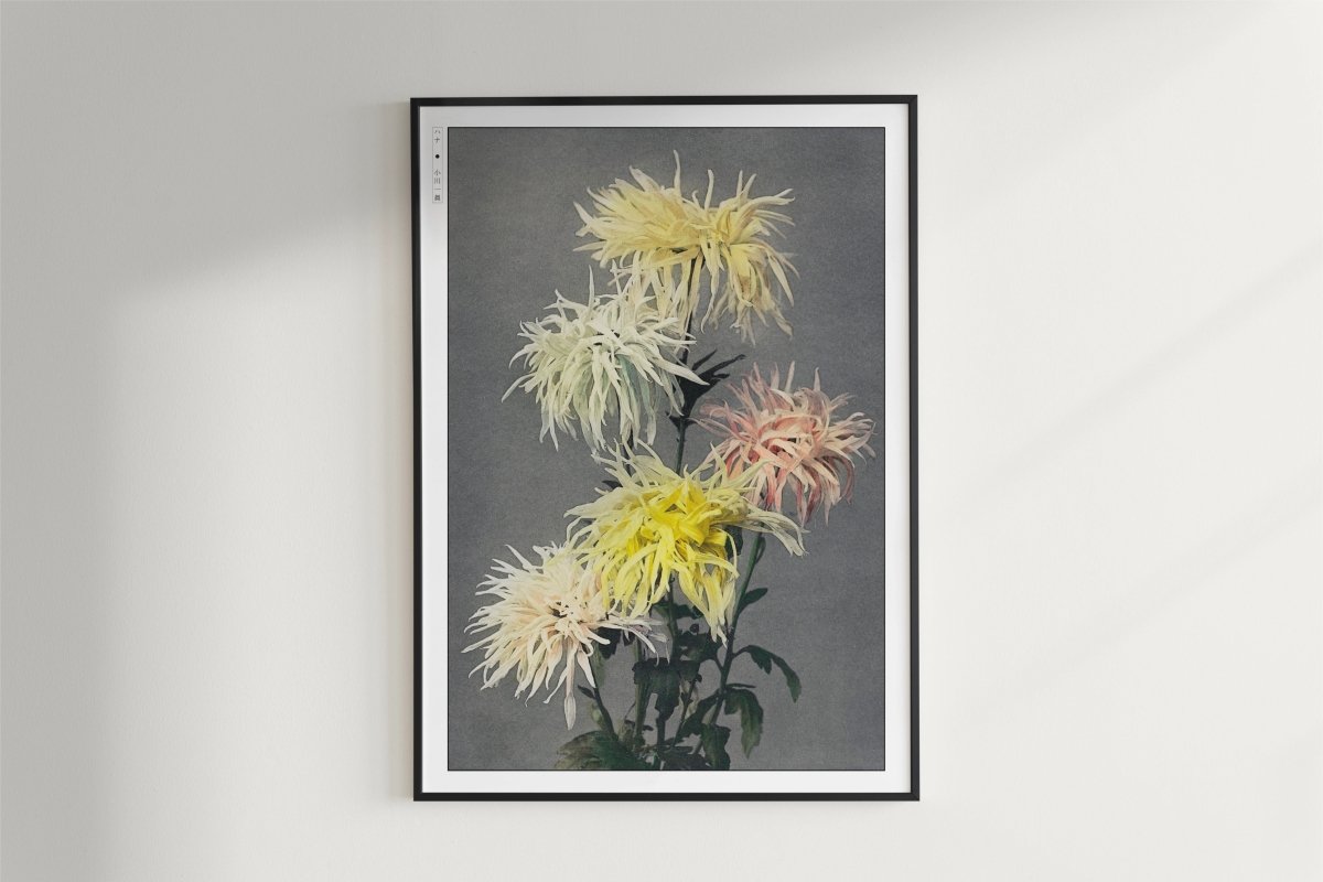 Ogawa Kazumasa - Yellow Chrysanthemums - Art Only - White Frame