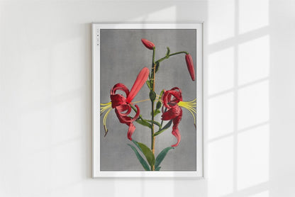 Flower Ukiyo - e Wall Art - Eastern Archivals