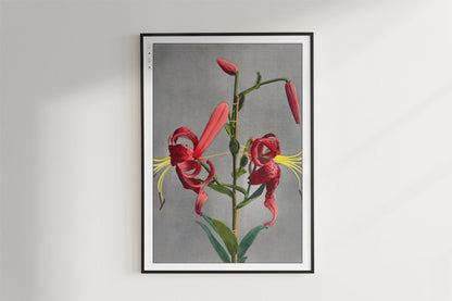 Flower Ukiyo - e Wall Art - Eastern Archivals