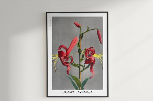 Ogawa Kazumasa - Red Lily - Artist Name Unframed