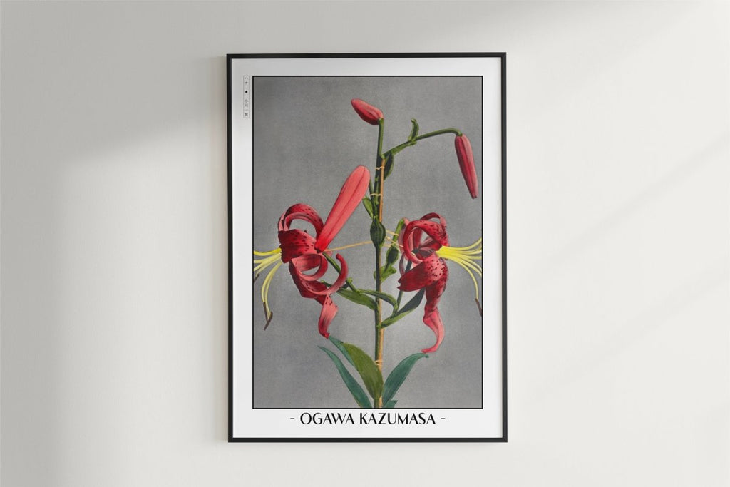 Ogawa Kazumasa - Red Lily - Artist Name - White Frame