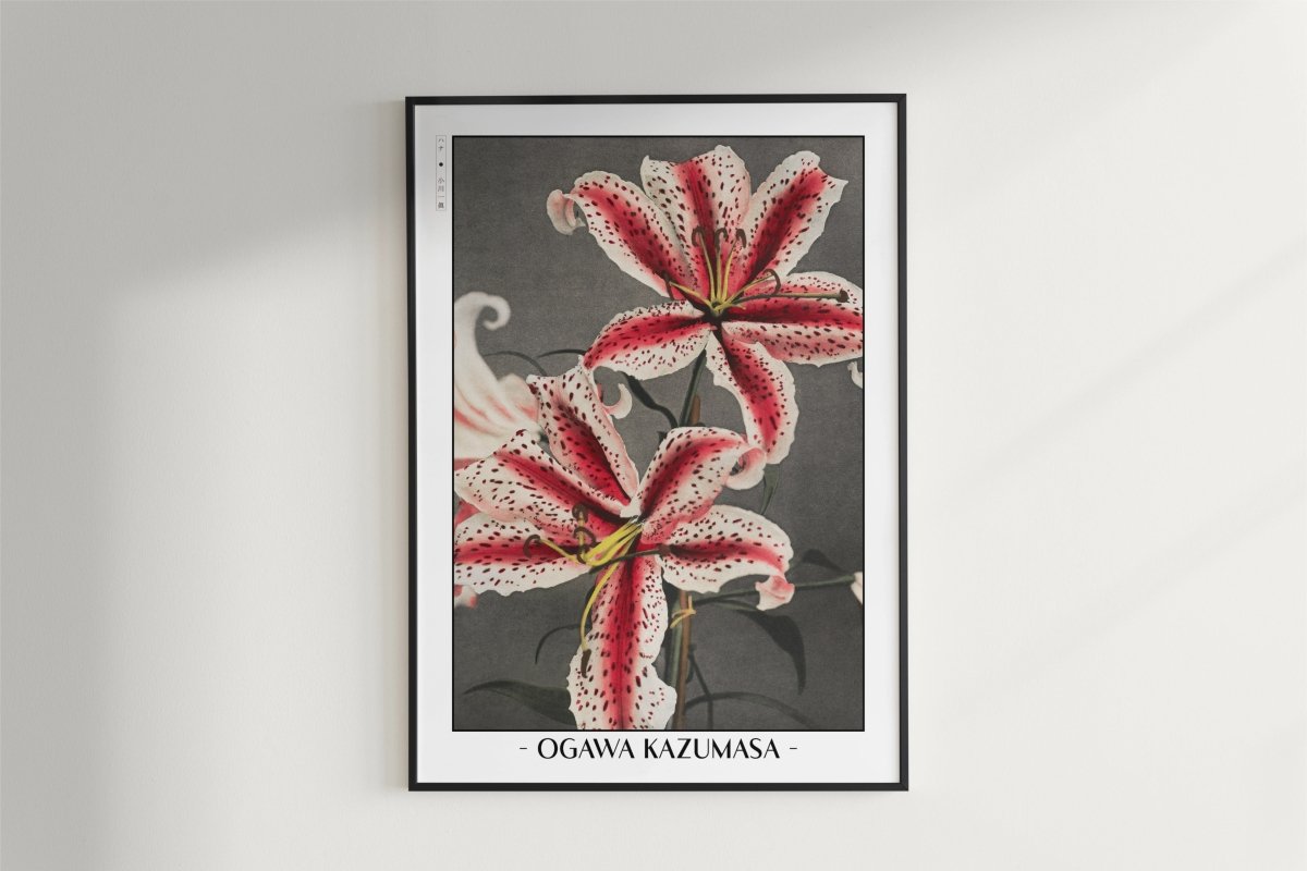 Ogawa Kazumasa - Pink Spotted Lily - Artist Name - White Frame