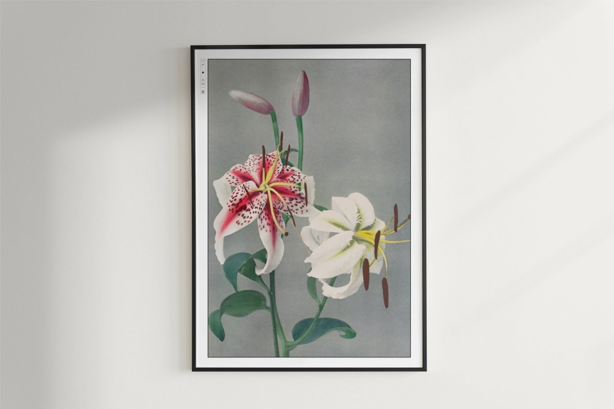 Ogawa Kazumasa - Japanese Lilies - Art Only - White Frame