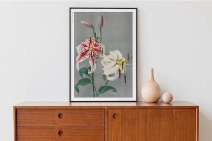 Ogawa Kazumasa - Japanese Lilies - Art Only - Black Frame
