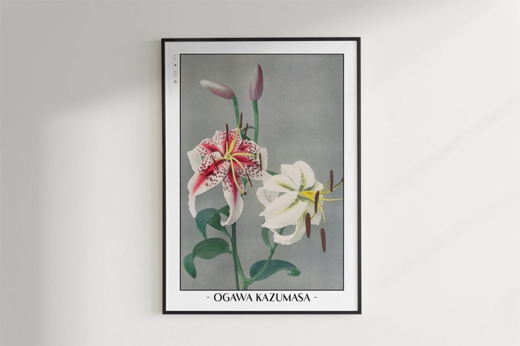 Ogawa Kazumasa - Japanese Lilies - Artist Name - White Frame