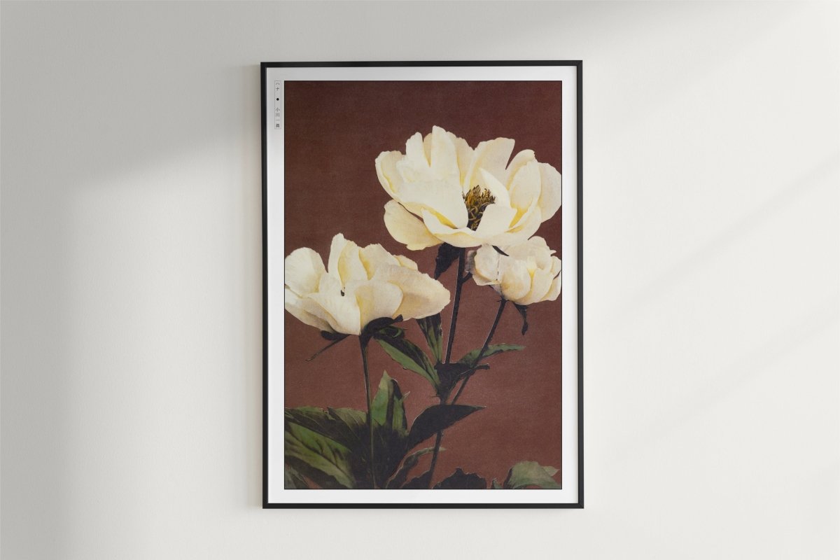 Ogawa Kazumasa - Haerdaceous Peony - Art Only - White Frame