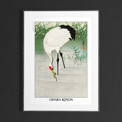 Elevate your decor with Ohara Koson's bird art prints, showcasing the grace of nature and the timeless charm of traditional Japanese Ukiyo-e craftsmanship.