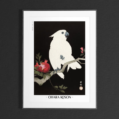 Elevate your decor with Ohara Koson's bird art prints, showcasing the grace of nature and the timeless charm of traditional Japanese Ukiyo-e craftsmanship.