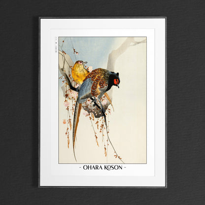 Elevate your decor with Ohara Koson's bird art prints, showcasing the grace of nature and the timeless charm of traditional Japanese Ukiyo-e craftsmanship.