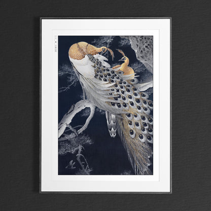 Ohara Koson's bird art prints capture the elegance of nature with intricate details and vibrant colors, adding a touch of Japanese artistry to your home