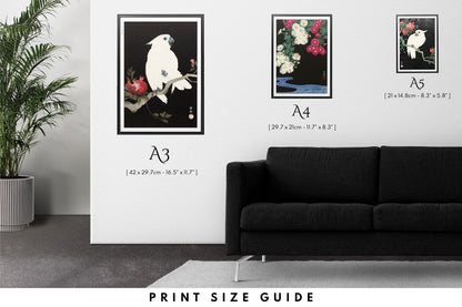 Elevate your decor, celebrate nature, and capture the essence of fine art with our exquisite prints. Shop online now. 