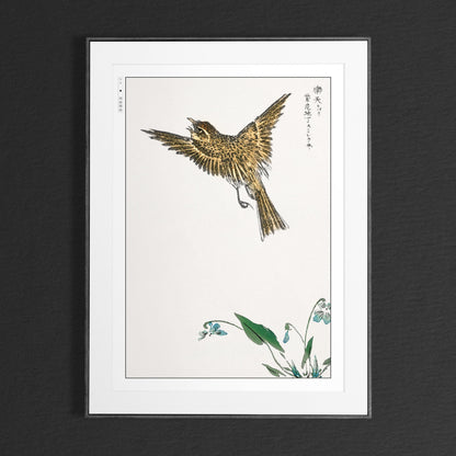 Enhance your decor with the Numata Kashu art print, showcasing the delicate elegance of Japanese birds and nature through timeless Ukiyo-e craftsmanship.