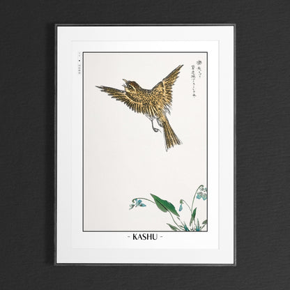 Enhance your decor with the Numata Kashu art print, showcasing the delicate elegance of Japanese birds and nature through timeless Ukiyo-e craftsmanship.