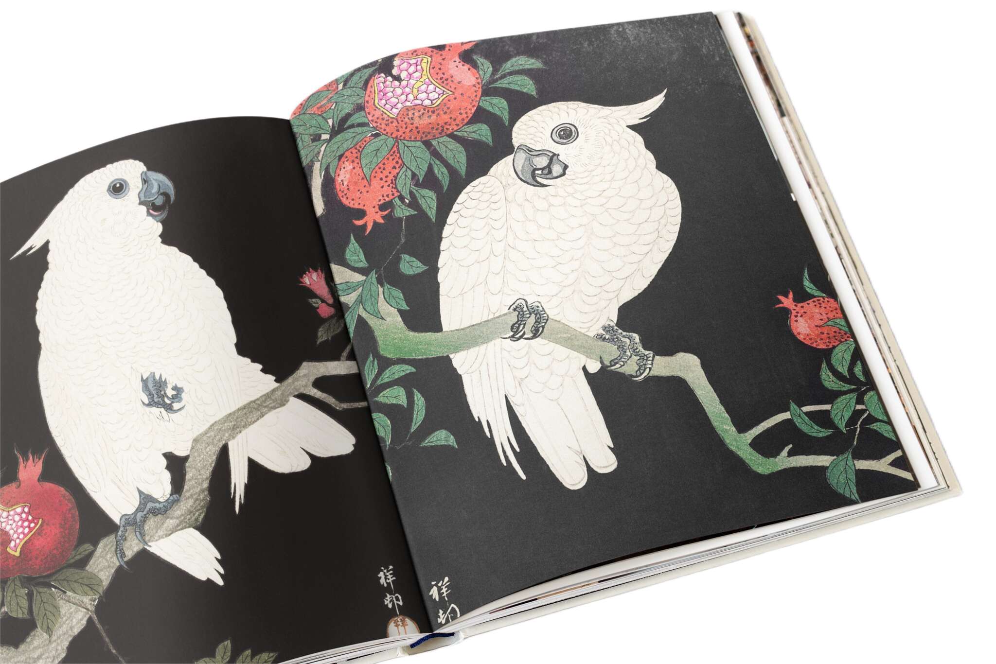 Ohara Koson Japanese art print of white cockatoos perched on a branch with pomegranates in classic shin hanga style